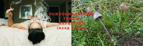 спиды Абаза