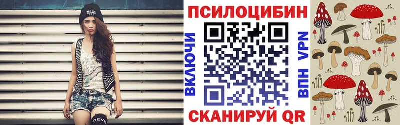 закладка  Костомукша  Псилоцибиновые грибы прущие грибы 