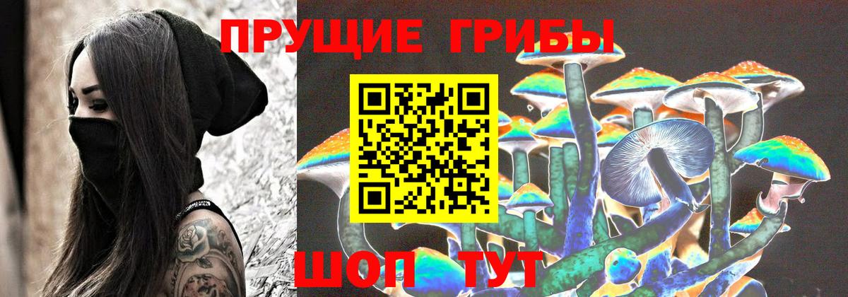 Костомукша  Галлюциногенные грибы мицелий  Вход с VPN 